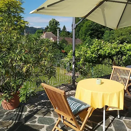 Sternad Guest house